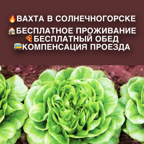 109be8424596009eb2.jpg