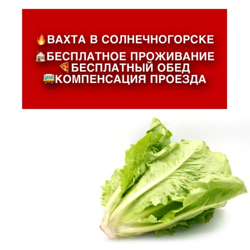 1192bb663893230b8d.jpg