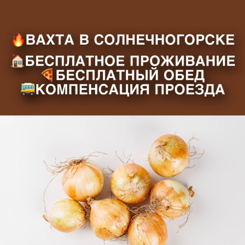 19c07a142cce2e1baa.jpg