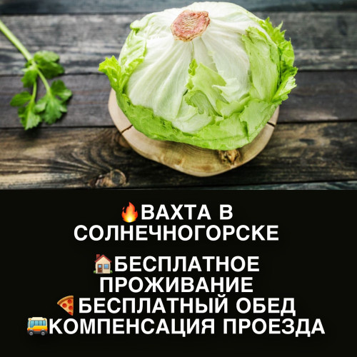 3062b62c6f8cb9a47.jpg