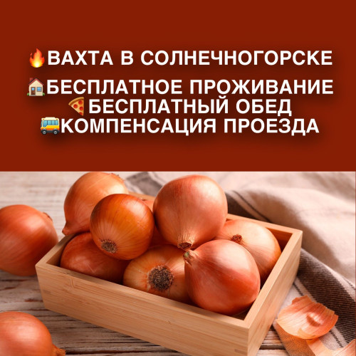 5c0bfde7787eded04.jpg