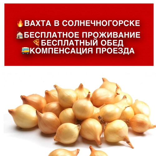 6d0e15e3dbf57e33c.jpg