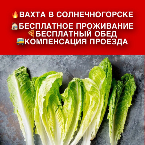 874be391b258e5a36.jpg