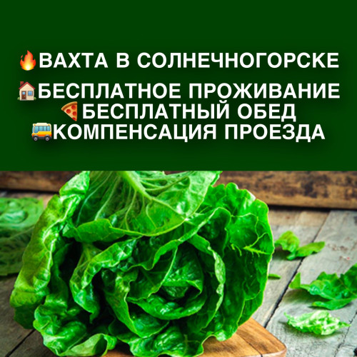 97442e807d8996f3e.jpg