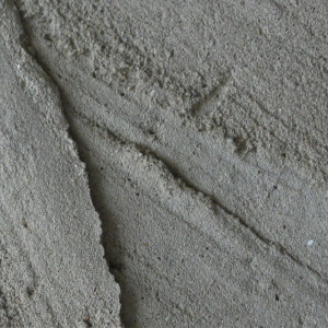 RASTVOR-28.05.2025