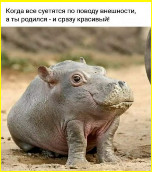 image-3789.png