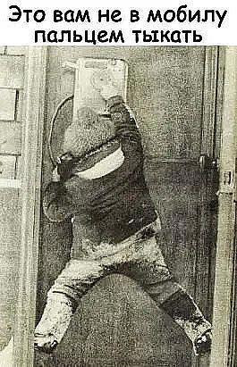 8955105_original.jpg