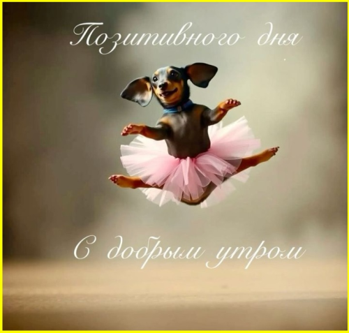image-4613.png