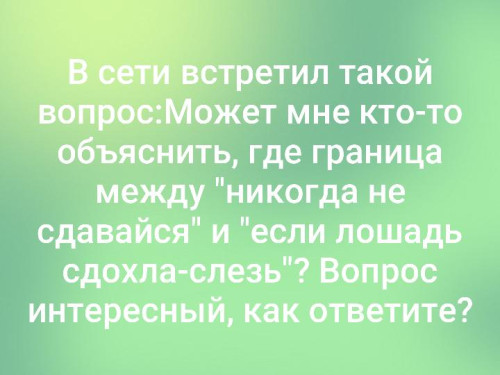 vZ4oupvOzGo.jpg