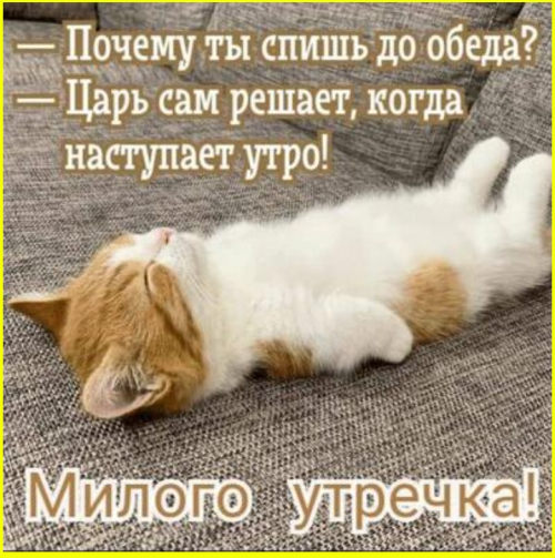 image-5128.png
