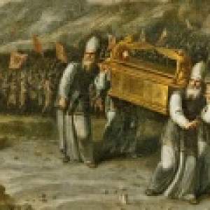 KOVCEG-S-KROLIKOM