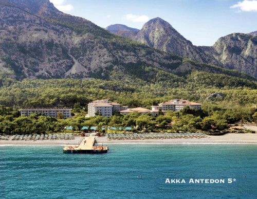 Akka-Antedon-5.jpg