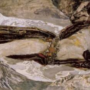 VUBEL-DEMON-ZVER-TYPA