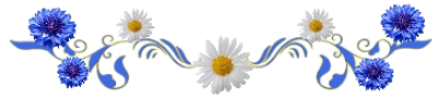 131094991-308.png