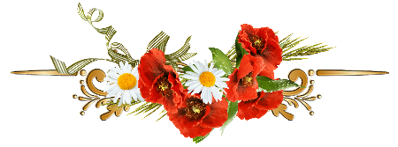162253197_kk41.png