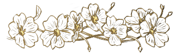 71.png