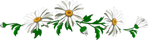 76922687_R9.gif