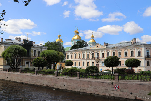 IMG_8126-KOPIY.jpg