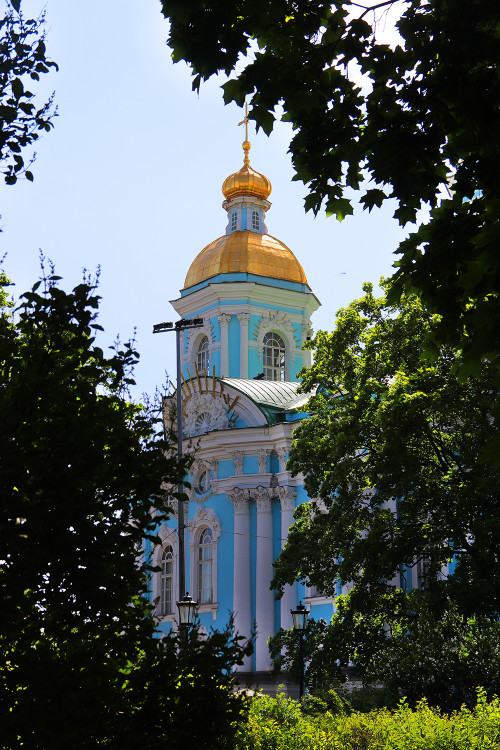 IMG_8135-KOPIY.jpg