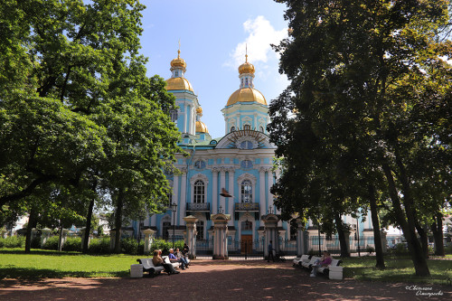IMG_8142-KOPIY.jpg