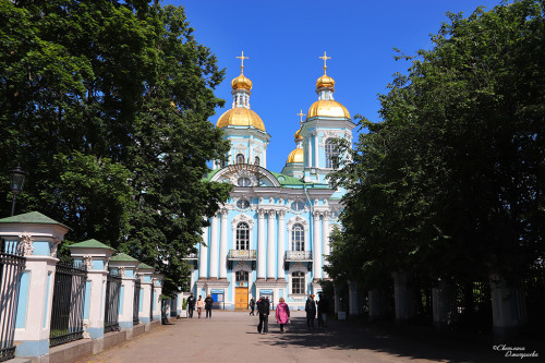 IMG_8164-KOPIY.jpg