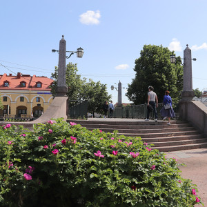IMG_8184-KOPIY
