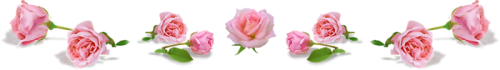 159512864_159512855_Bez_imeni1.png