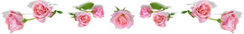 159512911_159512903_Bez_imeni1.png