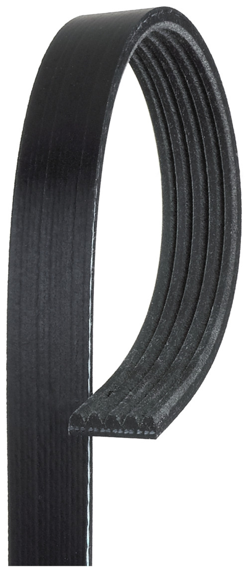 5PK903-GAT.jpg