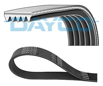5PK962-DAY.jpg