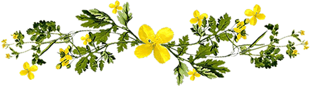 6.gif