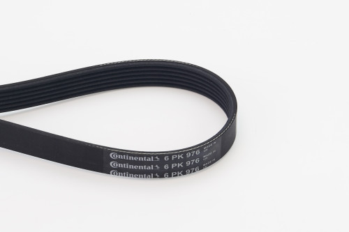 6PK976-COT.jpg