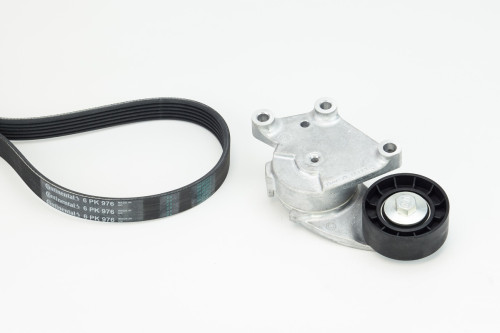 6PK976K1-COT.jpg