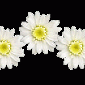 76923040_R27
