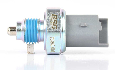 BSG70840001-BSG.jpg