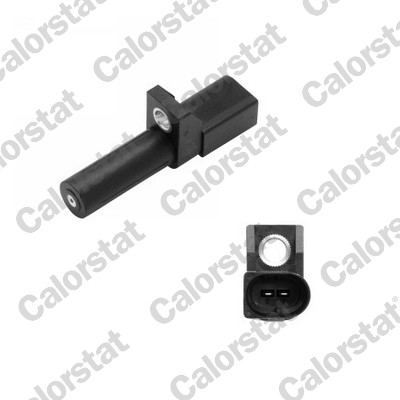 CS0329-VET.jpg