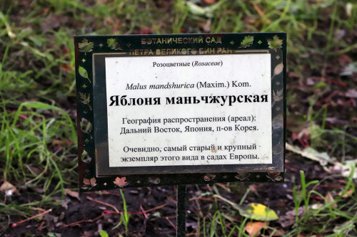 IMG_8271-KOPIY.jpg