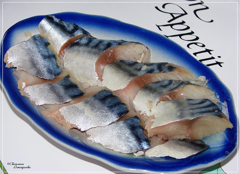 SKUMBRIY-SOLEN.KOPIY.jpg