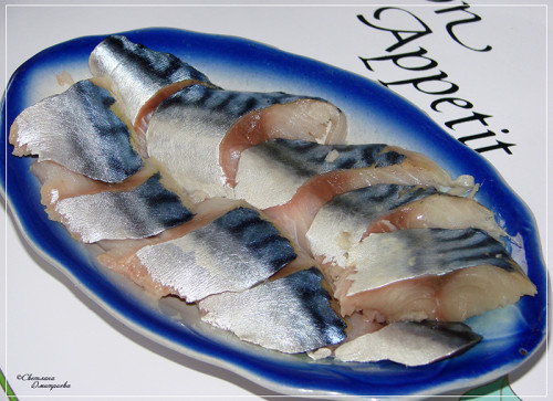 SKUMBRIY-SOLEN.KOPIY.jpg