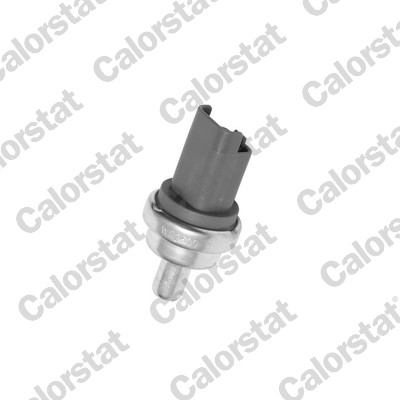 WS2609-VET.jpg