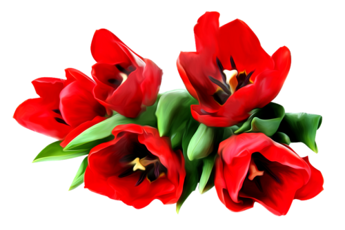 0_8d638_135d3c6_orig.png