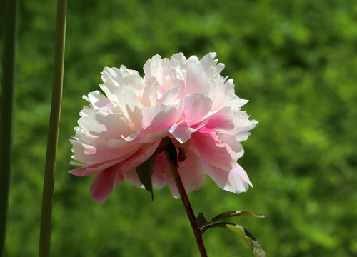 IMG_8449-KOPIY.jpg