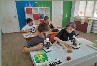 NOVYI-RISUNOK-2.png