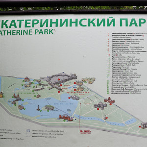 IMG_8538-KOPIY