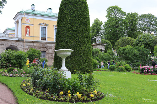 IMG_8573-KOPIY.jpg