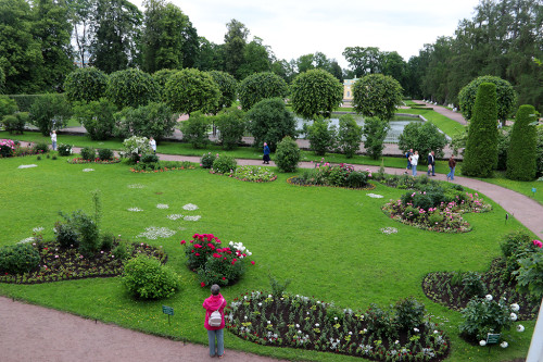 IMG_8611-KOPIY.jpg