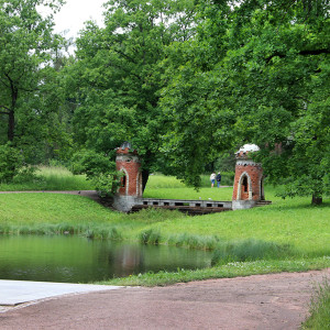 IMG_8646-KOPIY