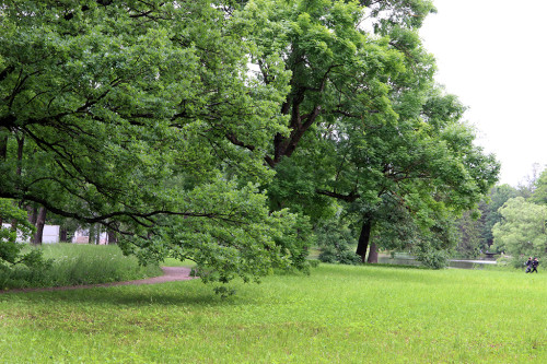 IMG_8664-KOPIY.jpg