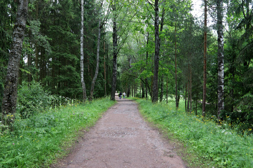 IMG_8668-KOPIY.jpg