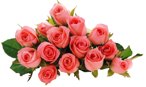 0_728f6_7049a547_XL_yapfiles.ru.png
